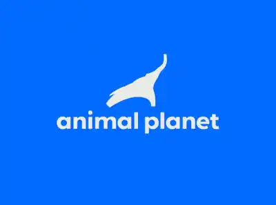 Animal Planet logo